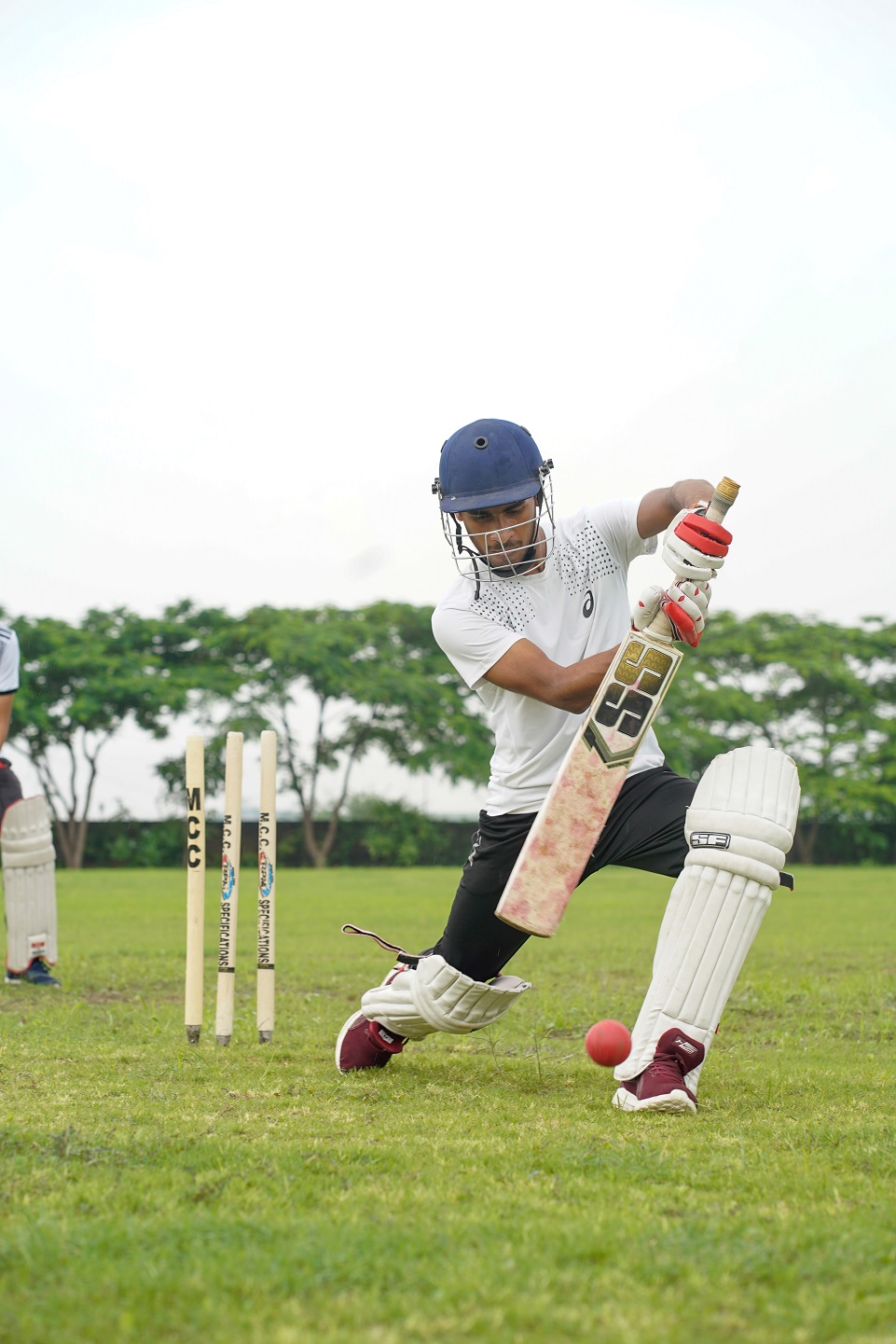 Sports